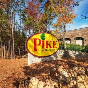 Photo of Pike Nurseries
