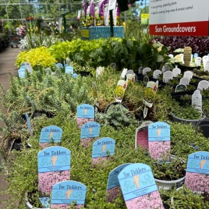 Photo of Pike Nurseries
