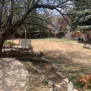 Photo of Mack Land
