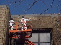 Photo of Knauss Property Services