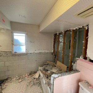 Photo of Juggernaut Demolition