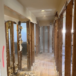 Photo of Juggernaut Demolition