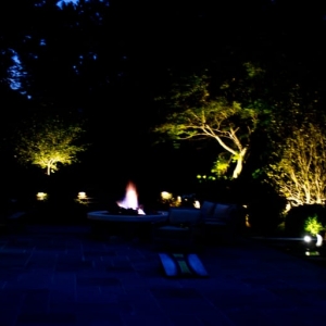 Photo of Vivid Landscape Lighting