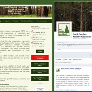 Photo of Carolina Web Design Services