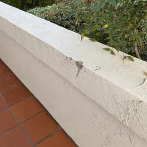 Photo of Alta Roofing & Waterproofing