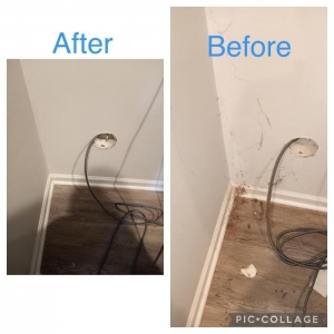 Indian Trail In Cleaning We Trust L.L.P