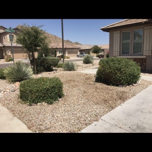 Photo of Riverview Property Services