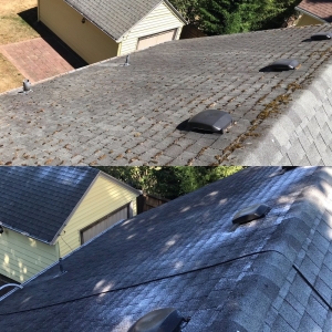 Photo of AA Window and Gutter Cleaning