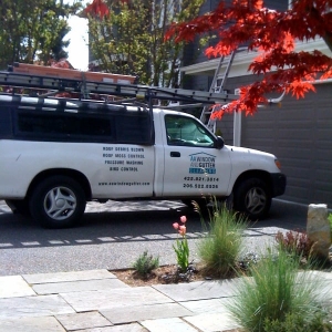 Photo of AA Window and Gutter Cleaning