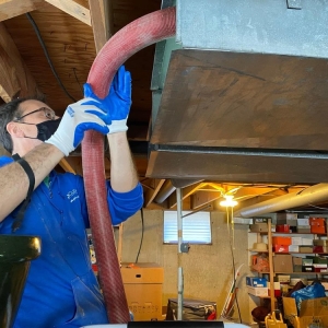 Photo of AO Cleaning Carpet Care & Restoration