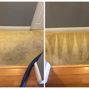Photo of Triple J Carpet Cleaning