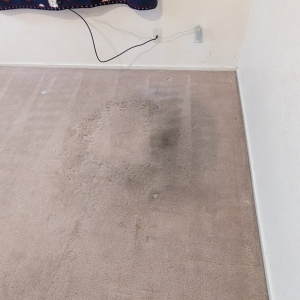 Photo of Triple J Carpet Cleaning