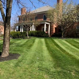 Photo of Buckeye All Seasons