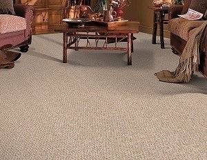 Photo of Carpet Kingdom
