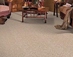 Photo of Carpet Kingdom