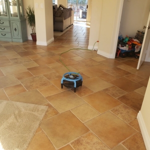 Photo of Pink's Carpet Cleaning