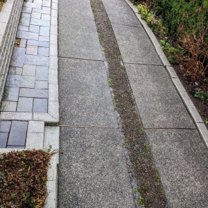 Photo of Morris Cleaning Services