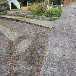 Photo of Morris Cleaning Services