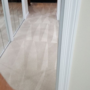 Photo of Certified Carpet Cleaning by Andy