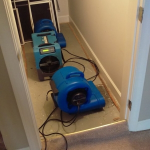 Photo of Duraclean Cleaning and Restoration