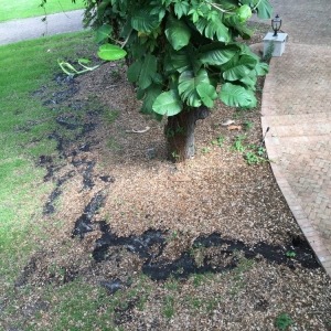 Photo of TBR Property Management