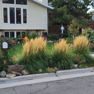 Photo of Hot Shot Sprinkler Repair & Landscape