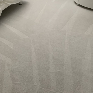Photo of Bristol's Elite Carpet & Tile Cleaning
