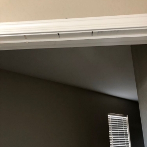 Photo of TCT West Property Management Services