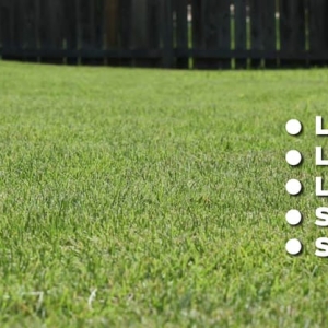 Photo of Creative Visions Landscaping