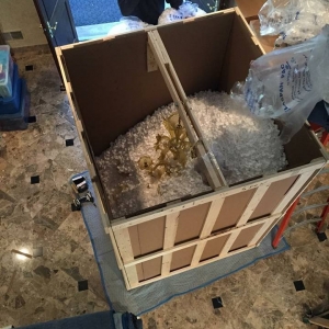 Photo of Tiger Moving and Storage