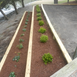Photo of Oceanside Landscaping