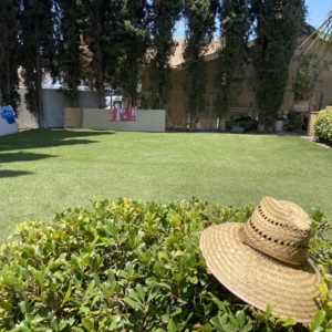 Photo of Rodríguez landscape