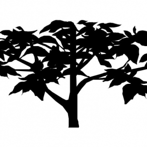 Atlanta Terra Designs
