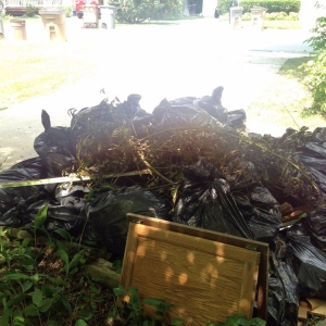 Photo of All Star Waste & Recycling
