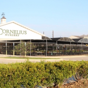 Photo of Cornelius Nursery