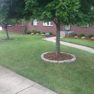 Photo of Dave Hartley Landscaping