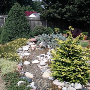 Photo of Dave Hartley Landscaping
