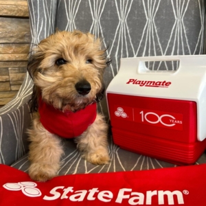 Photo of Beth Santillan - State Farm Insurance Agent