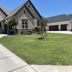 Photo of Small Circle Lawn Care