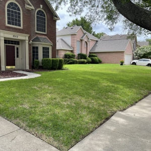 Photo of Small Circle Lawn Care