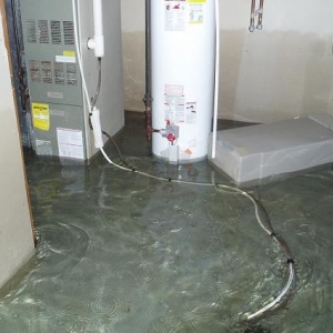 Photo of Royal Water Damage Restoration