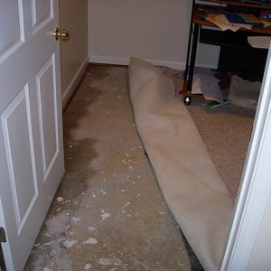 Photo of Royal Water Damage Restoration