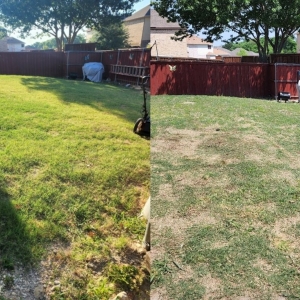 Photo of King Of State LandScaping