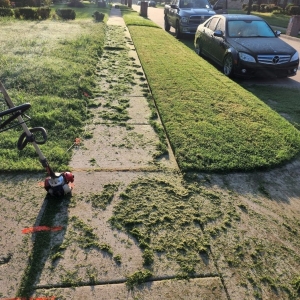 Photo of King Of State LandScaping