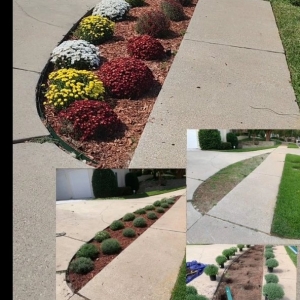 Photo of King Of State LandScaping