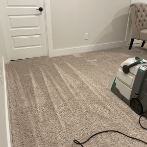 Photo of XP Clean Solution