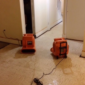 Photo of USA Green Clean