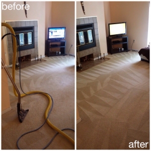 Photo of USA Green Clean