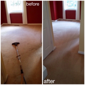 Photo of USA Green Clean