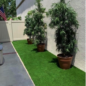 Photo of Halo Turf